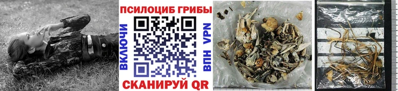 Галлюциногенные грибы Magic Shrooms  Ейск 