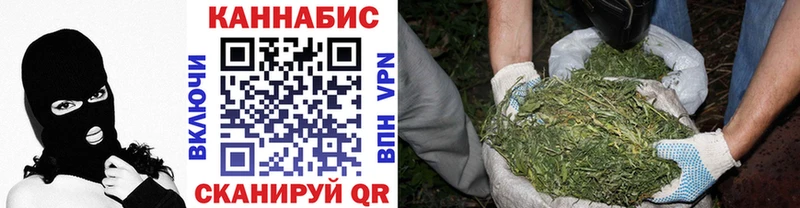 Каннабис VHQ Ейск